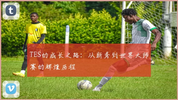 TES的成长之路：从新秀到世界大师赛的辉煌历程