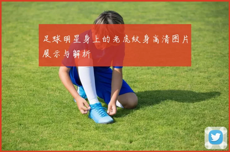 足球明星身上的老虎纹身高清图片展示与解析